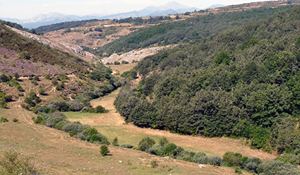 valle de Castillería